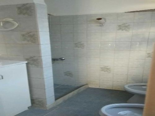 Marcelino Berthelot y Porongos